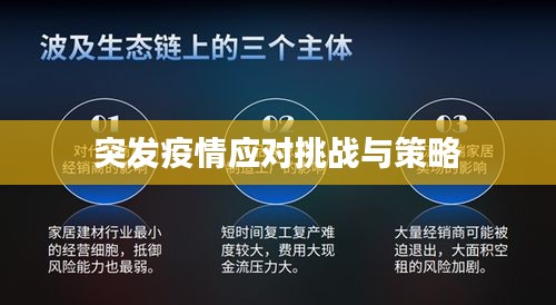 突發(fā)疫情應對挑戰(zhàn)與策略