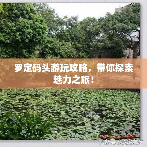 羅定碼頭游玩攻略，帶你探索魅力之旅！
