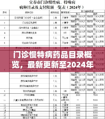 門診慢特病藥品目錄概覽，最新更新至2024年