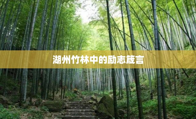 湖州竹林中的勵(lì)志箴言