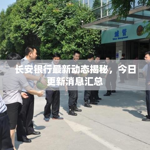 長安銀行最新動態(tài)揭秘，今日更新消息匯總