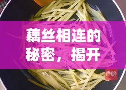 藕絲相連的秘密，揭開藕與絲的神秘面紗