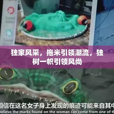 獨(dú)家風(fēng)采，拖米引領(lǐng)潮流，獨(dú)樹一幟引領(lǐng)風(fēng)尚