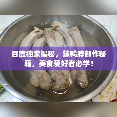百度獨(dú)家揭秘，辣鴨脖制作秘籍，美食愛(ài)好者必學(xué)！