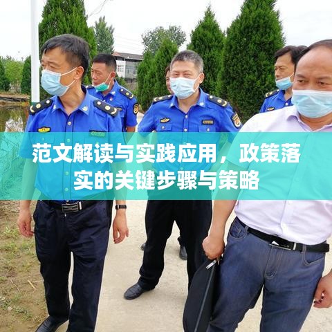 范文解讀與實(shí)踐應(yīng)用，政策落實(shí)的關(guān)鍵步驟與策略