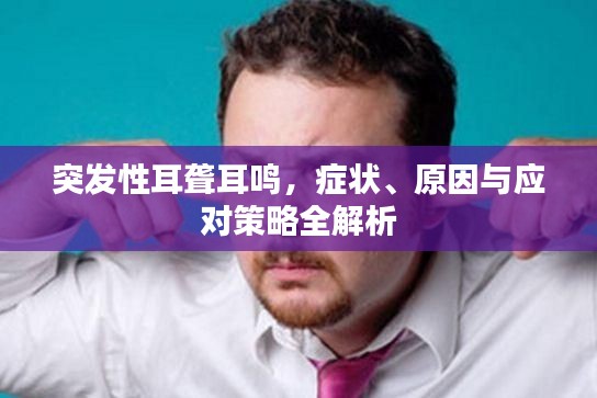 突發(fā)性耳聾耳鳴，癥狀、原因與應(yīng)對策略全解析
