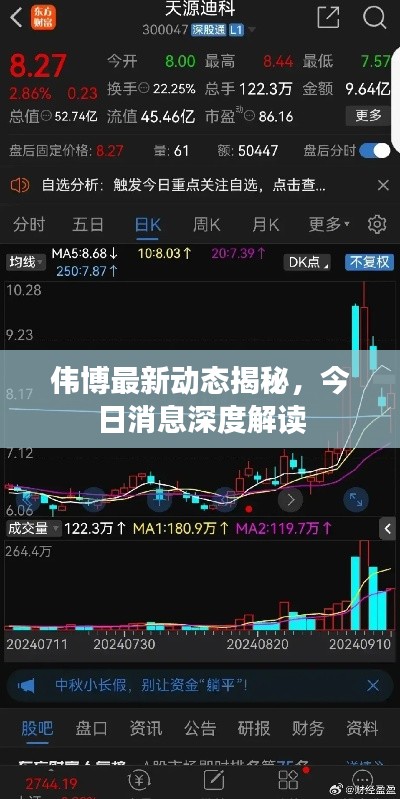 偉博最新動(dòng)態(tài)揭秘，今日消息深度解讀