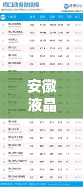 安徽液晶顯示公司權(quán)威排名榜單揭曉！