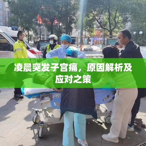 凌晨突發(fā)子宮痛，原因解析及應(yīng)對(duì)之策