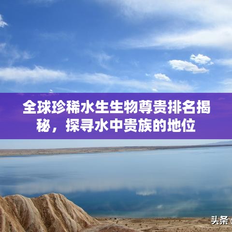 全球珍稀水生生物尊貴排名揭秘，探尋水中貴族的地位