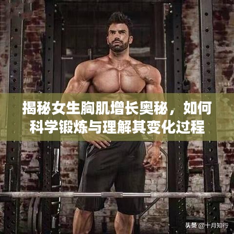 揭秘女生胸肌增長奧秘，如何科學(xué)鍛煉與理解其變化過程
