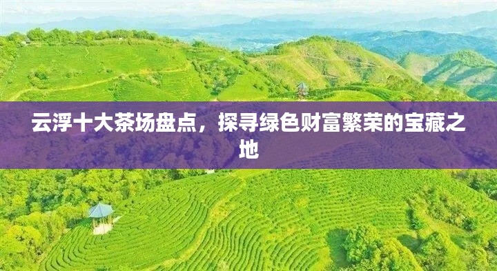 云浮十大茶場盤點，探尋綠色財富繁榮的寶藏之地