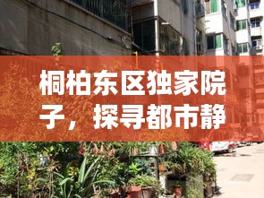 桐柏東區(qū)獨家院子，探尋都市靜謐生活之選