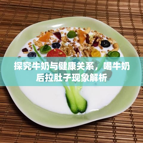 探究牛奶與健康關(guān)系，喝牛奶后拉肚子現(xiàn)象解析