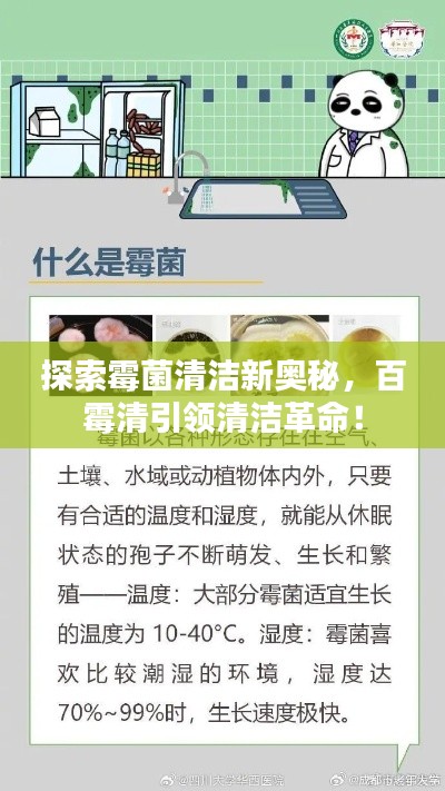 探索霉菌清潔新奧秘，百霉清引領(lǐng)清潔革命！