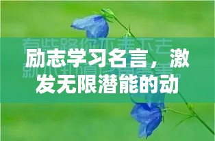 勵(lì)志學(xué)習(xí)名言，激發(fā)無(wú)限潛能的動(dòng)力語(yǔ)錄