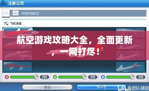 航空游戲攻略大全，全面更新，一網(wǎng)打盡！