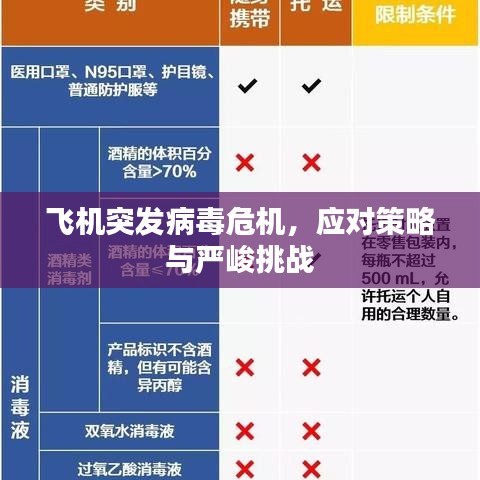 飛機(jī)突發(fā)病毒危機(jī)，應(yīng)對(duì)策略與嚴(yán)峻挑戰(zhàn)
