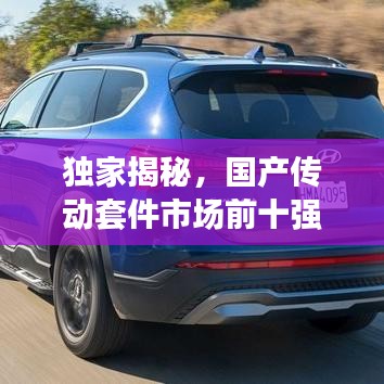獨家揭秘，國產(chǎn)傳動套件市場前十強榜單！