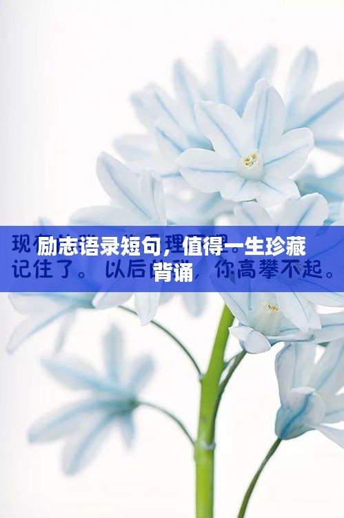 勵(lì)志語錄短句，值得一生珍藏背誦