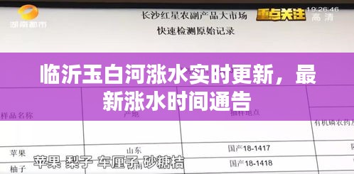 臨沂玉白河漲水實(shí)時(shí)更新，最新漲水時(shí)間通告