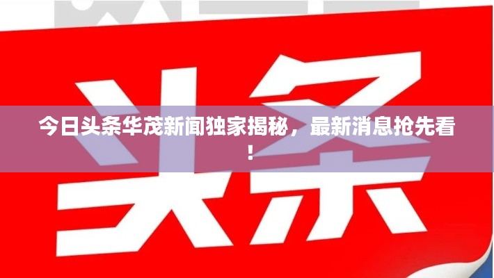 今日頭條華茂新聞獨家揭秘，最新消息搶先看！