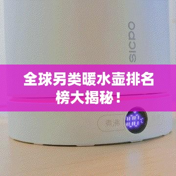 全球另類暖水壺排名榜大揭秘！