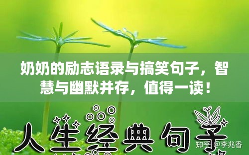 奶奶的勵志語錄與搞笑句子，智慧與幽默并存，值得一讀！