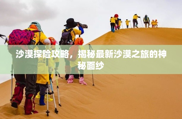 沙漠探險攻略，揭秘最新沙漠之旅的神秘面紗