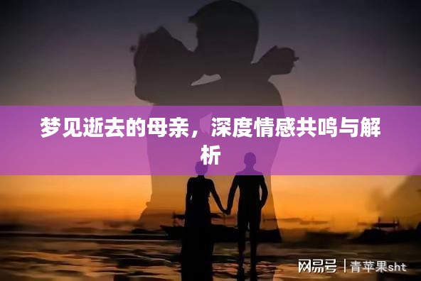 夢(mèng)見(jiàn)逝去的母親，深度情感共鳴與解析