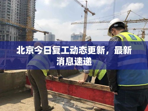 北京今日復(fù)工動態(tài)更新，最新消息速遞