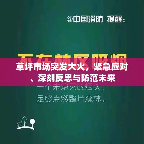 草坪市場突發(fā)大火，緊急應對、深刻反思與防范未來