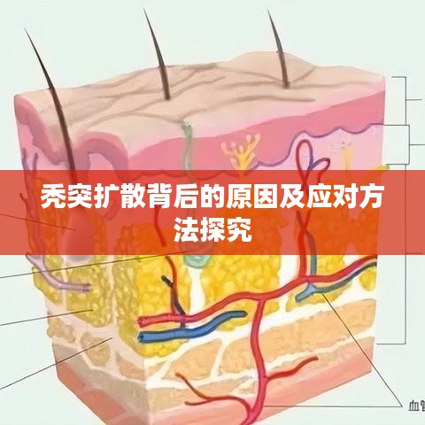 禿突擴(kuò)散背后的原因及應(yīng)對(duì)方法探究