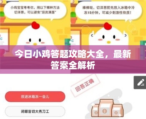 今日小雞答題攻略大全，最新答案全解析