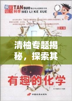 清柚專題揭秘，探索其獨特魅力與價值的奧秘
