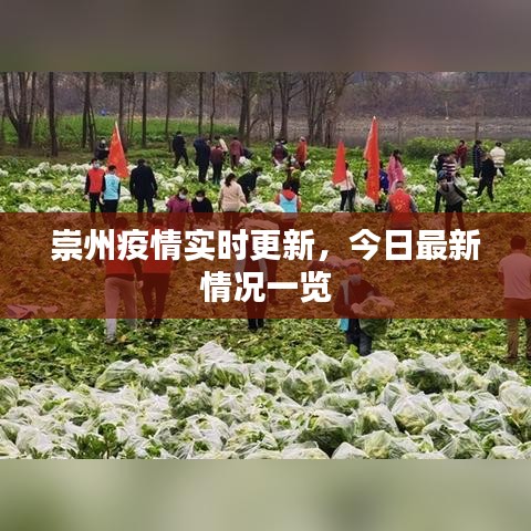 崇州疫情實(shí)時(shí)更新，今日最新情況一覽