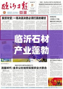 臨沂石材產(chǎn)業(yè)蓬勃發(fā)展，新聞?lì)^條搶先看