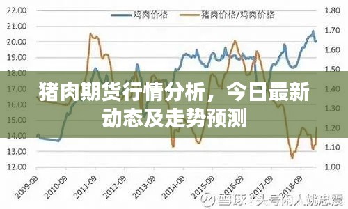 豬肉期貨行情分析，今日最新動(dòng)態(tài)及走勢(shì)預(yù)測(cè)