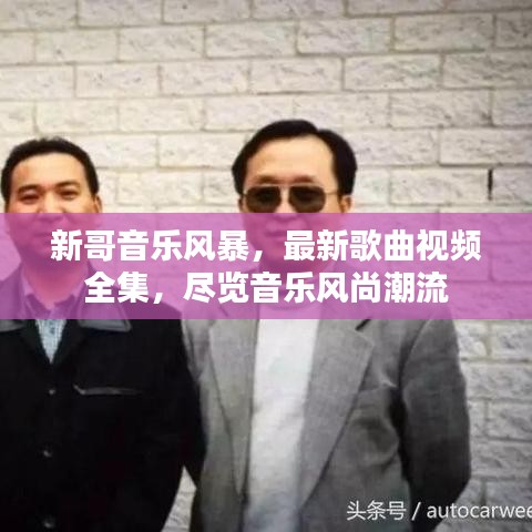 新哥音樂風(fēng)暴，最新歌曲視頻全集，盡覽音樂風(fēng)尚潮流