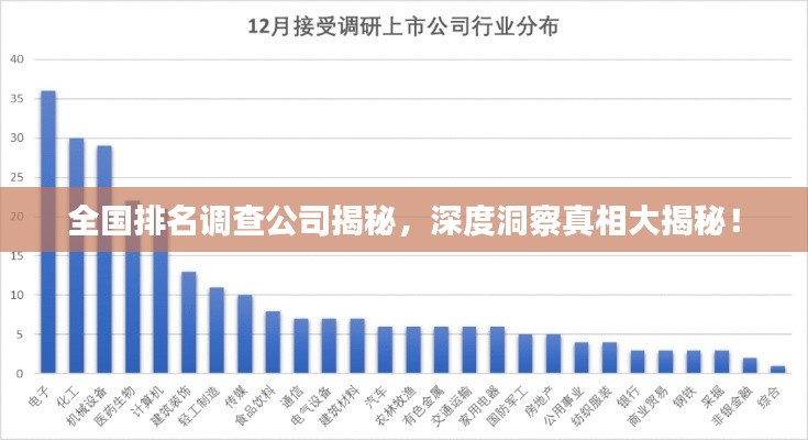 全國排名調查公司揭秘，深度洞察真相大揭秘！