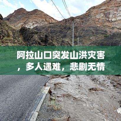 阿拉山口突發(fā)山洪災害，多人遇難，悲劇無情，救援緊急展開