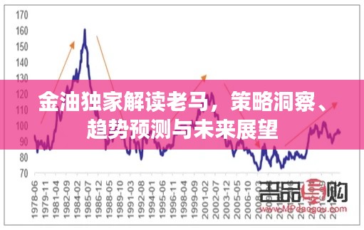 金油獨家解讀老馬，策略洞察、趨勢預(yù)測與未來展望