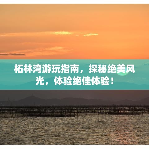 柘林灣游玩指南，探秘絕美風(fēng)光，體驗(yàn)絕佳體驗(yàn)！