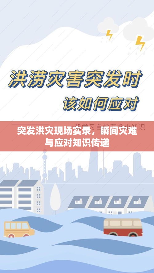 突發(fā)洪災(zāi)現(xiàn)場(chǎng)實(shí)錄，瞬間災(zāi)難與應(yīng)對(duì)知識(shí)傳遞
