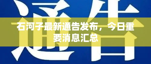 石河子最新通告發(fā)布，今日重要消息匯總