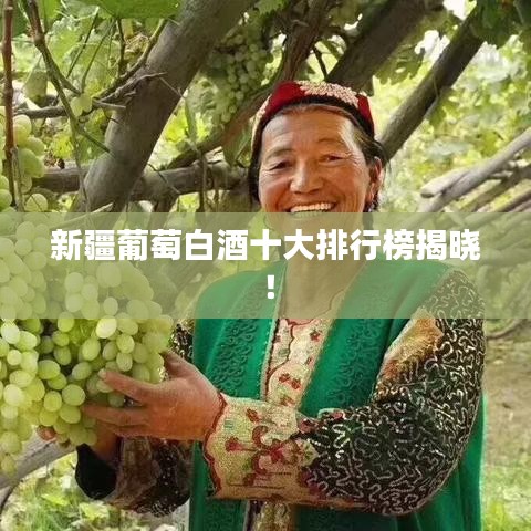 新疆葡萄白酒十大排行榜揭曉！