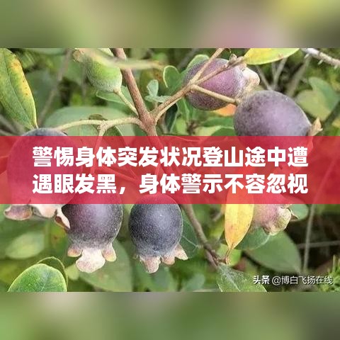 警惕身體突發(fā)狀況登山途中遭遇眼發(fā)黑，身體警示不容忽視！