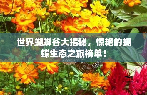 世界蝴蝶谷大揭秘，驚艷的蝴蝶生態(tài)之旅榜單！