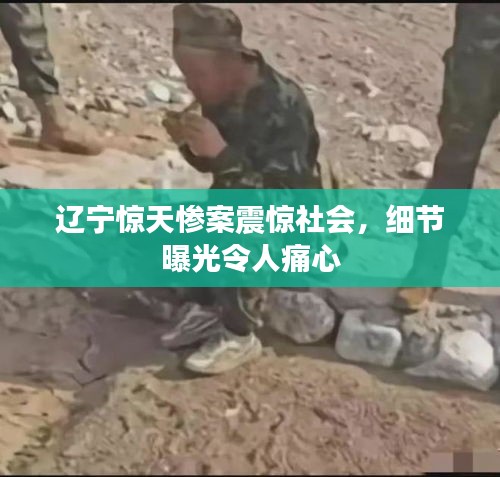 遼寧驚天慘案震驚社會(huì)，細(xì)節(jié)曝光令人痛心