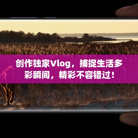 創(chuàng)作獨家Vlog，捕捉生活多彩瞬間，精彩不容錯過！